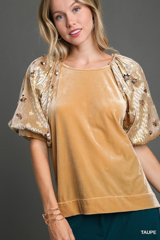 Velvet & Sequin Puff Sleeve Top