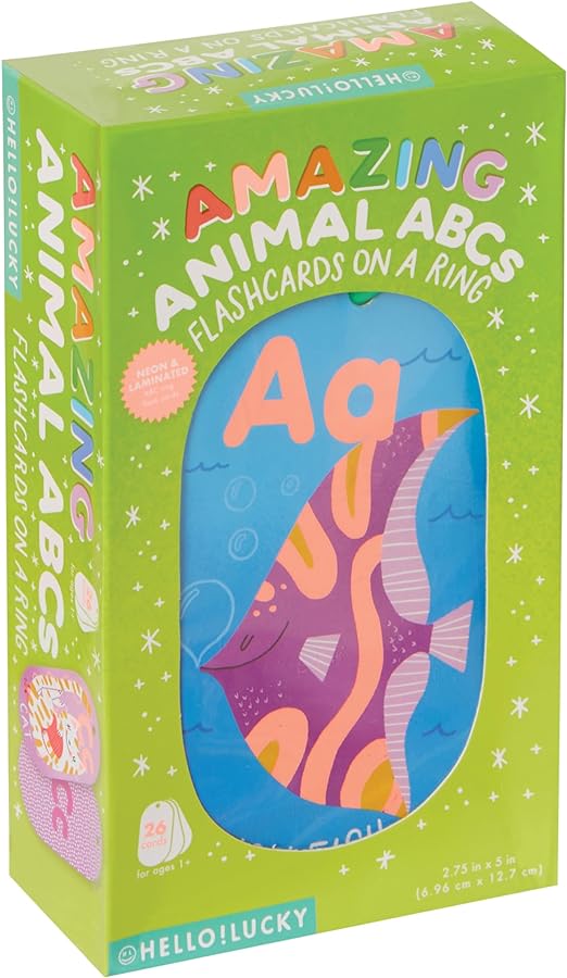 Flash Cards On A Ring