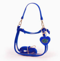 Florida Colleges Clear Clara Purse with Heart Charm