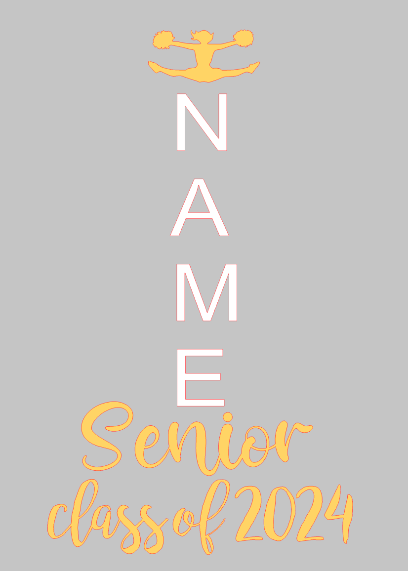 WSHS Cheer Shirts