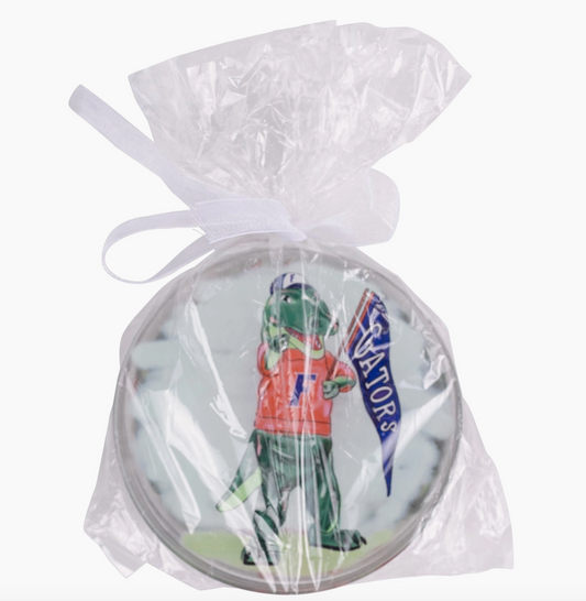 Florida Coasters - Set of 4