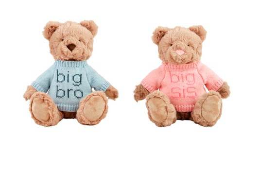 Big Sibling Bear