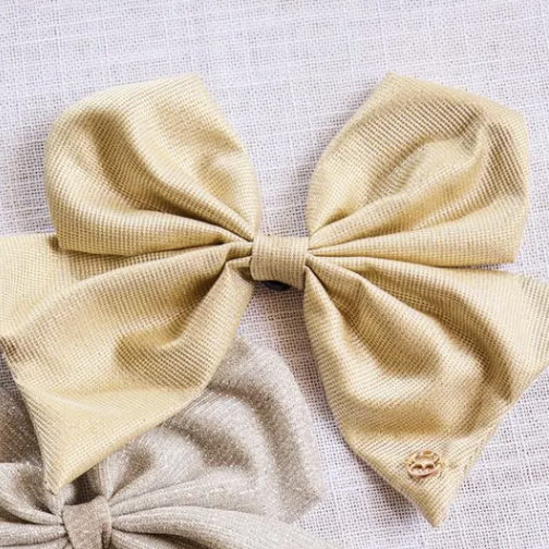 Magnetic Bow