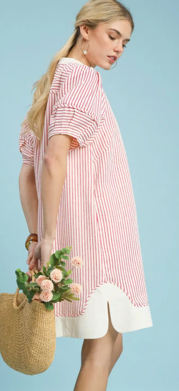Pinstripe Shift Dress w/Contrast V-Neck & Hem