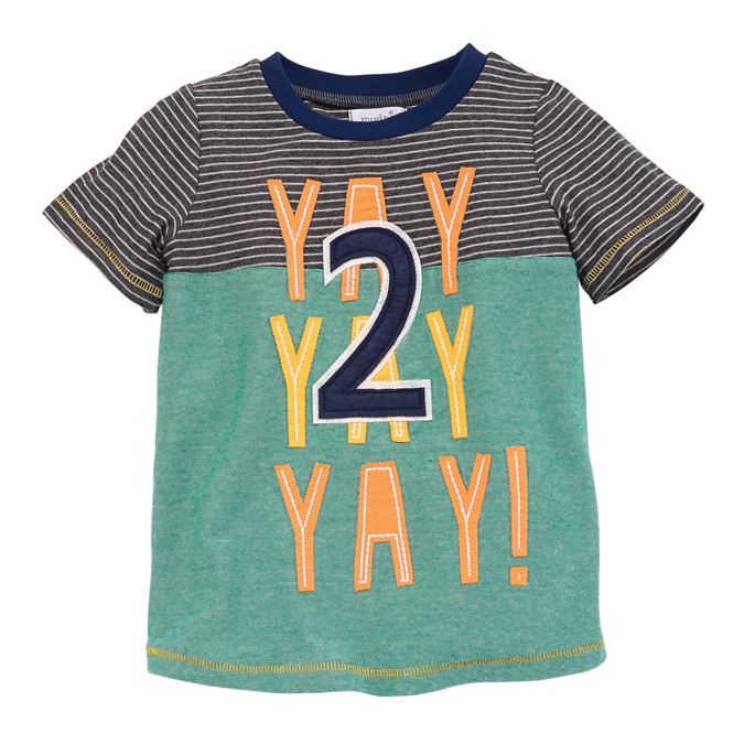 Boy Birthday Celebration Shirts