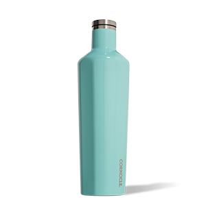 16oz Corkcicle Canteen