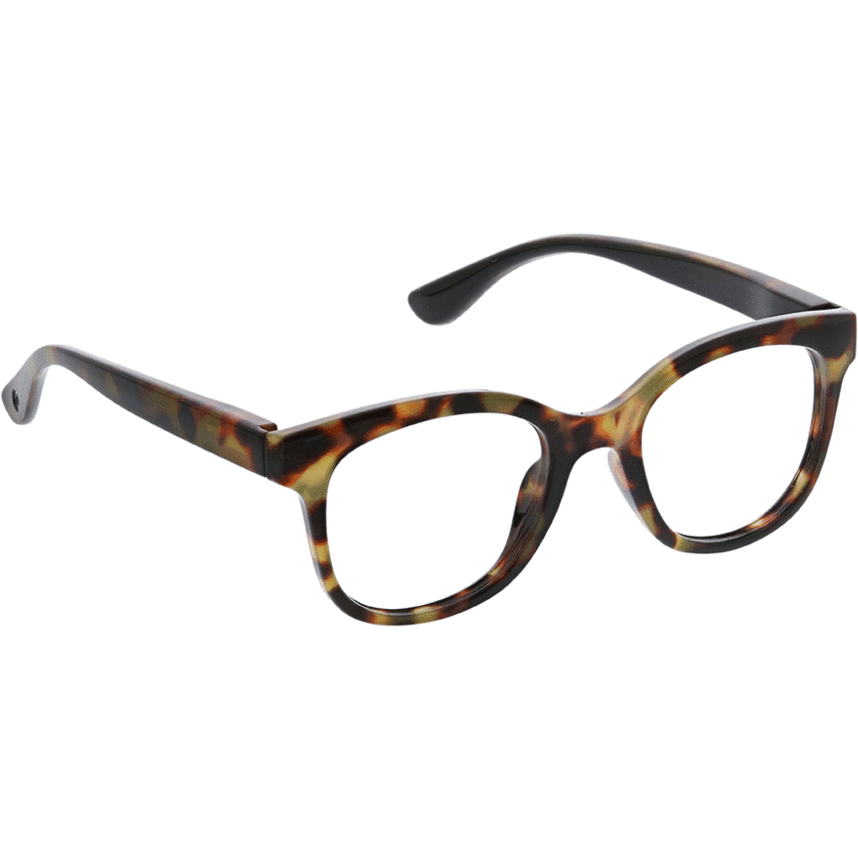 Grandview (tortoise) by Peepers