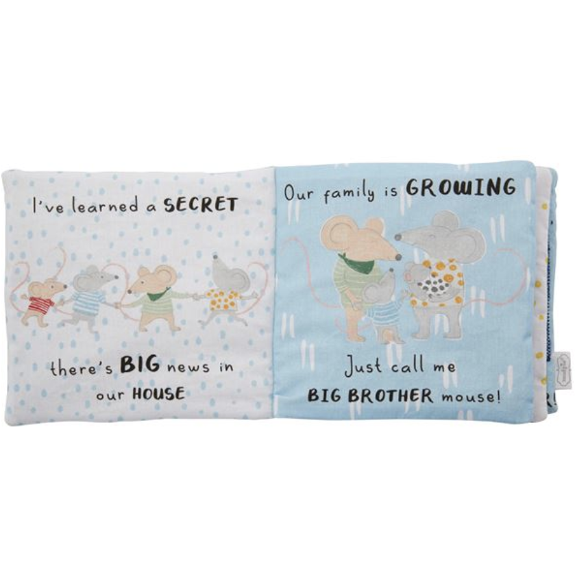 Big Sibling & Pin Book