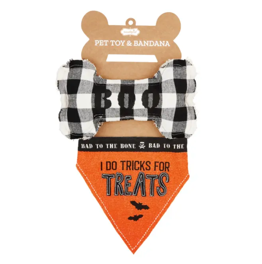 Halloween Pet & Bandana Set