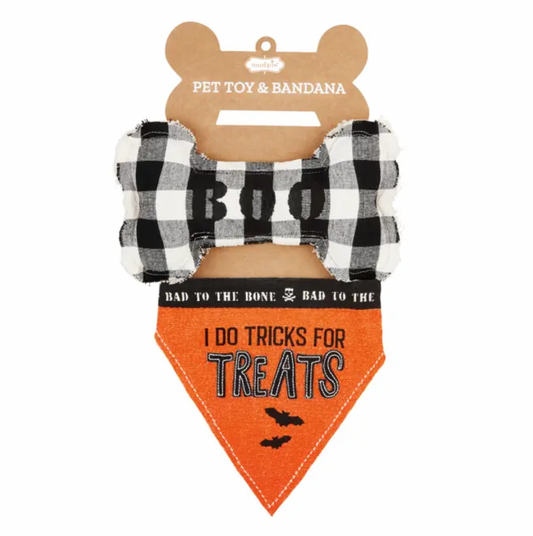 Halloween Pet & Bandana Set