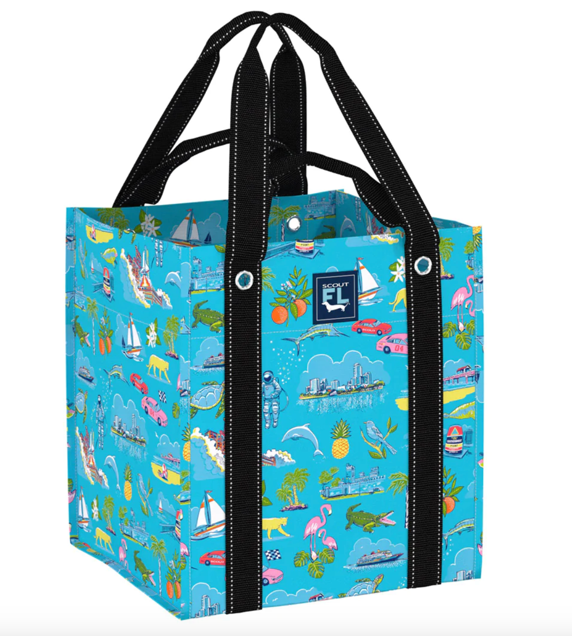 Florida Statement Collection by Scout