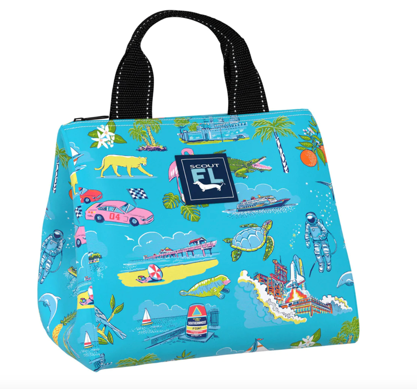 Florida Statement Collection by Scout