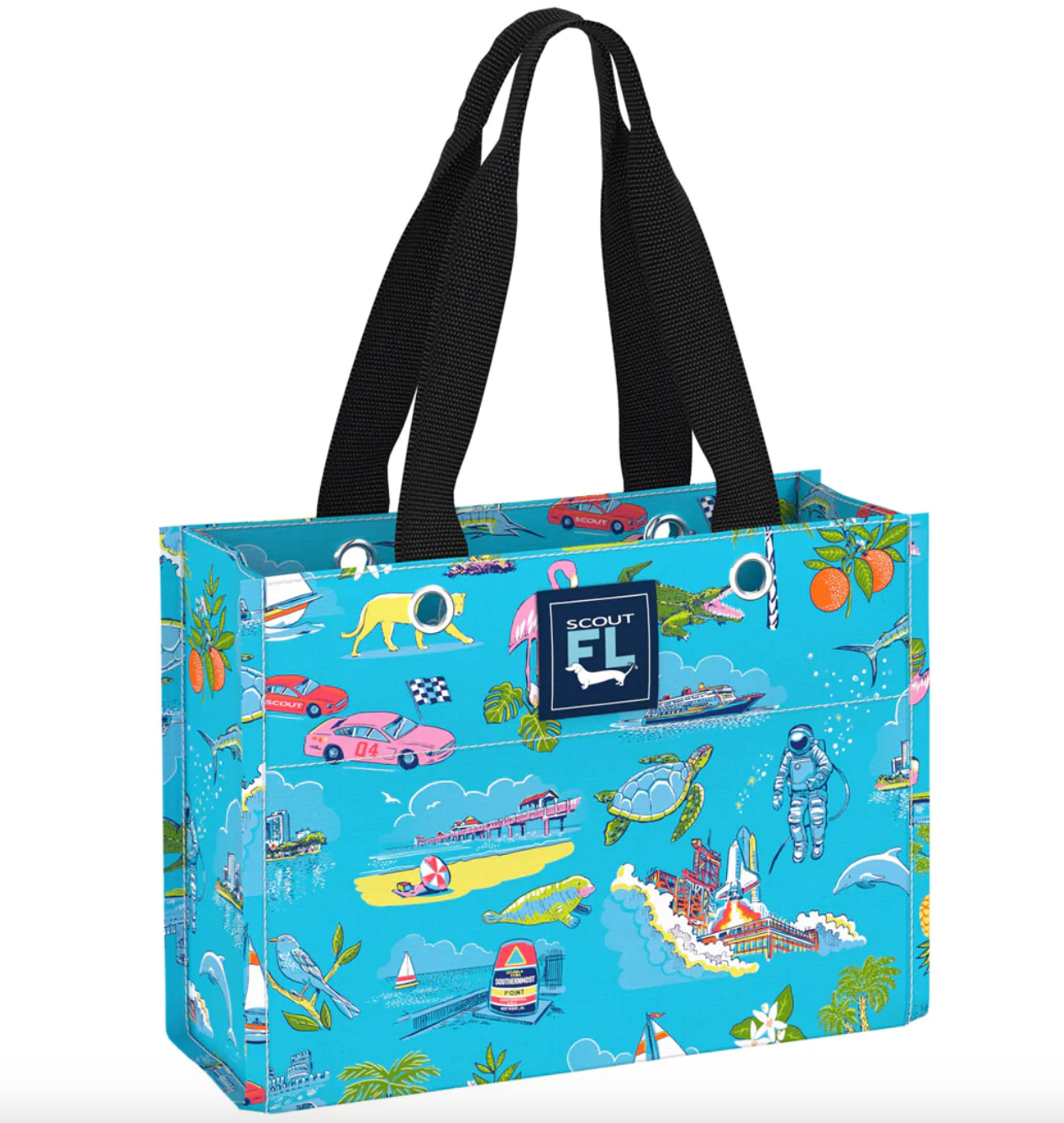 Florida Statement Collection by Scout