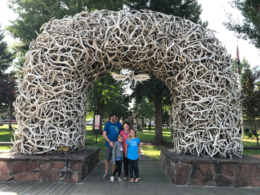 Yellowstone & Grand Tetons with littles..