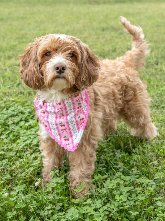 Simply Southern Pet Bandana
