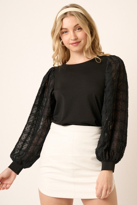 Solid Textured Sheer Long Sleeve Top