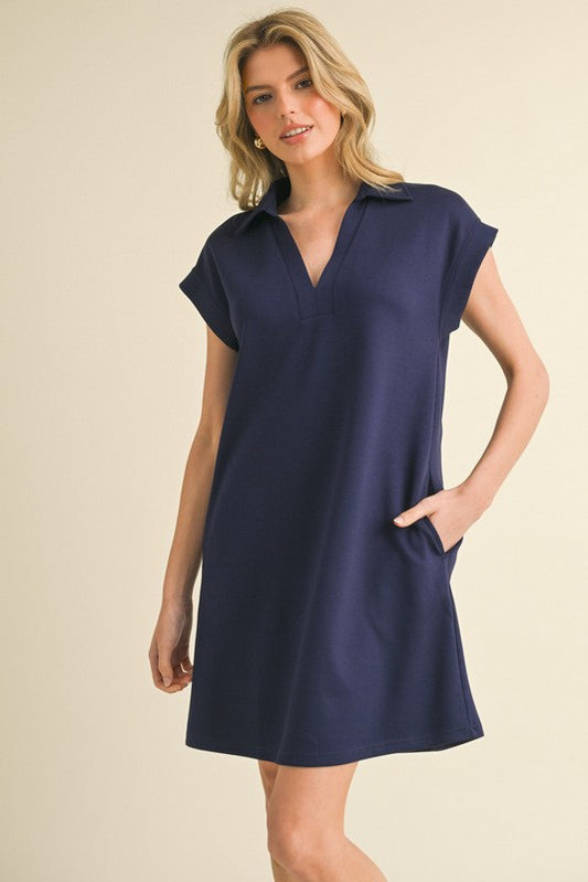 Solid Collared Back Pleat Dress