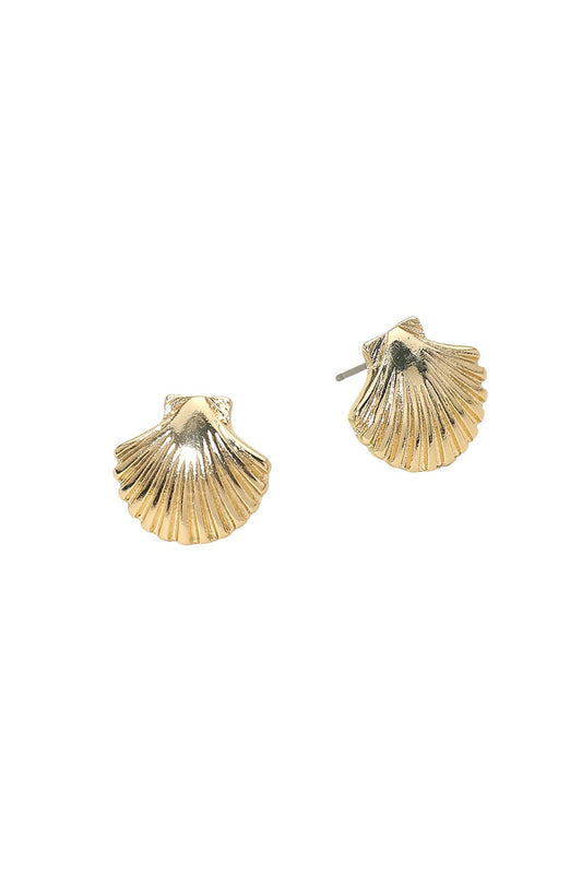Small Textured Seashell Stud Earring