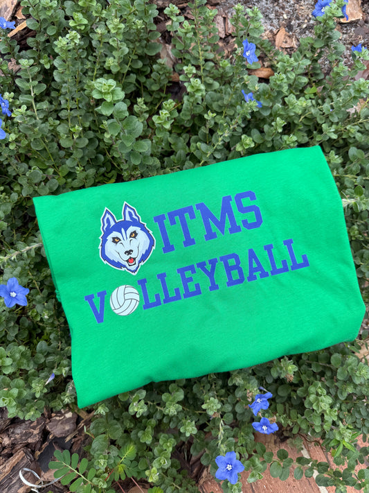 Team Volleyball Shirts - ONLINE ORDER ONLY