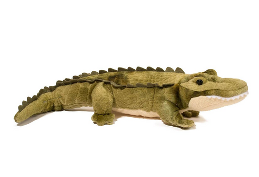 Stream Line the Alligator