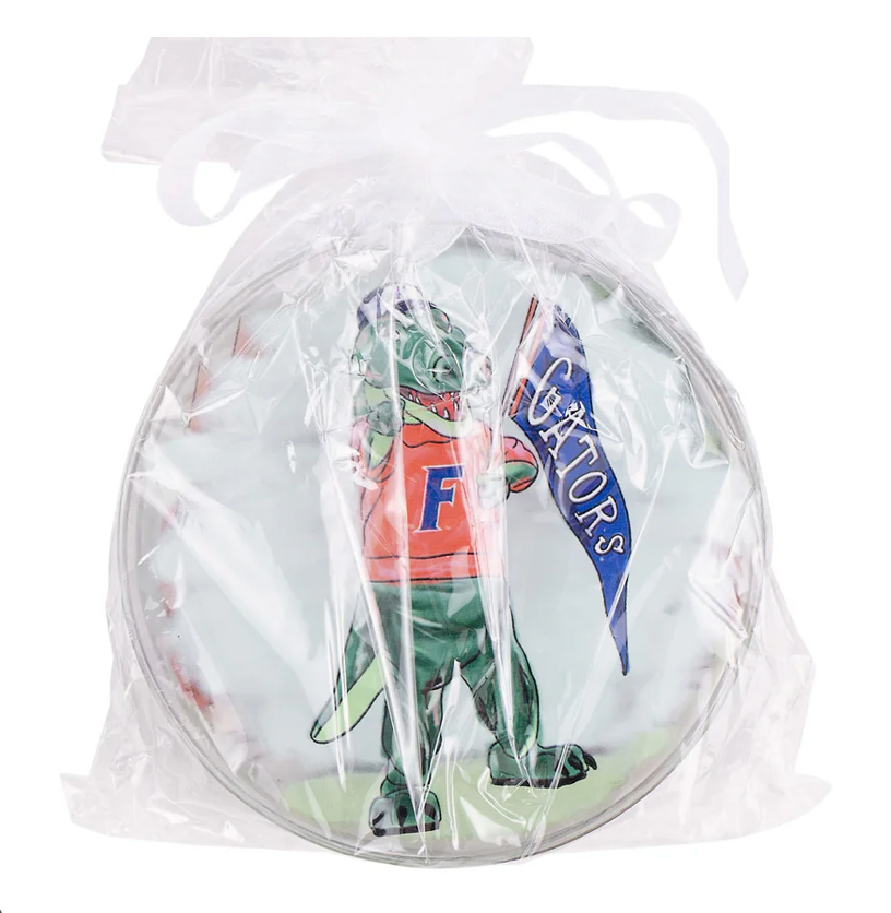 Set of 4 Florida Ornaments