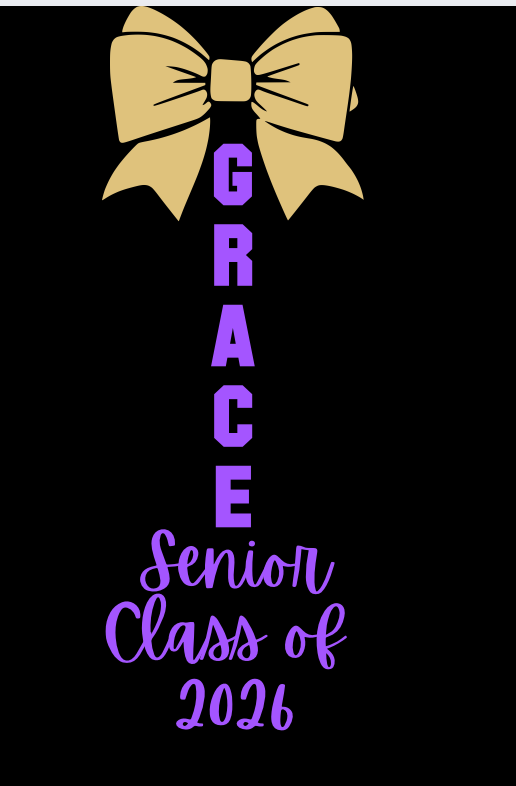 WSHS Cheer Shirts '25