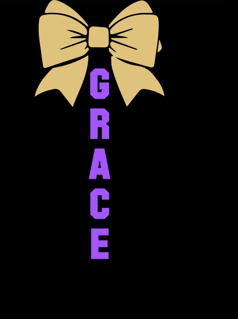 WSHS Cheer Shirts '25