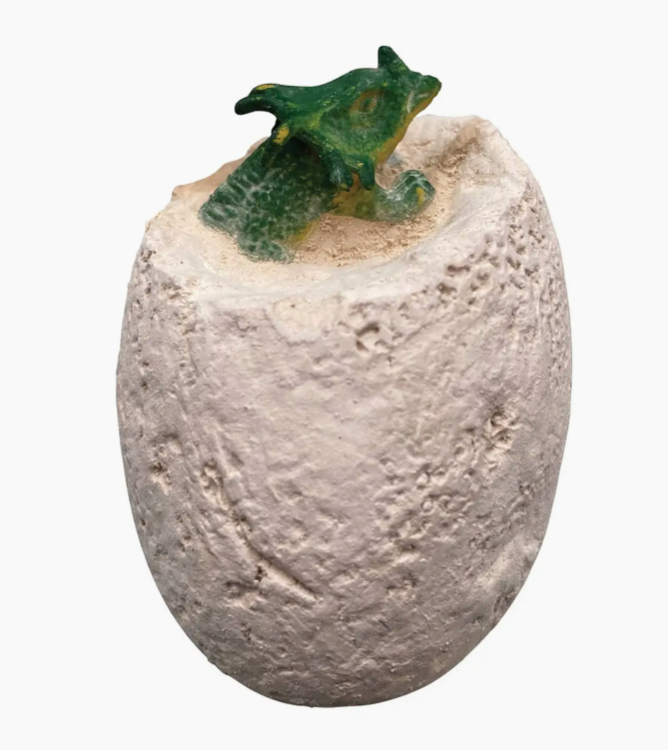 Dino Dig Excavation Kit