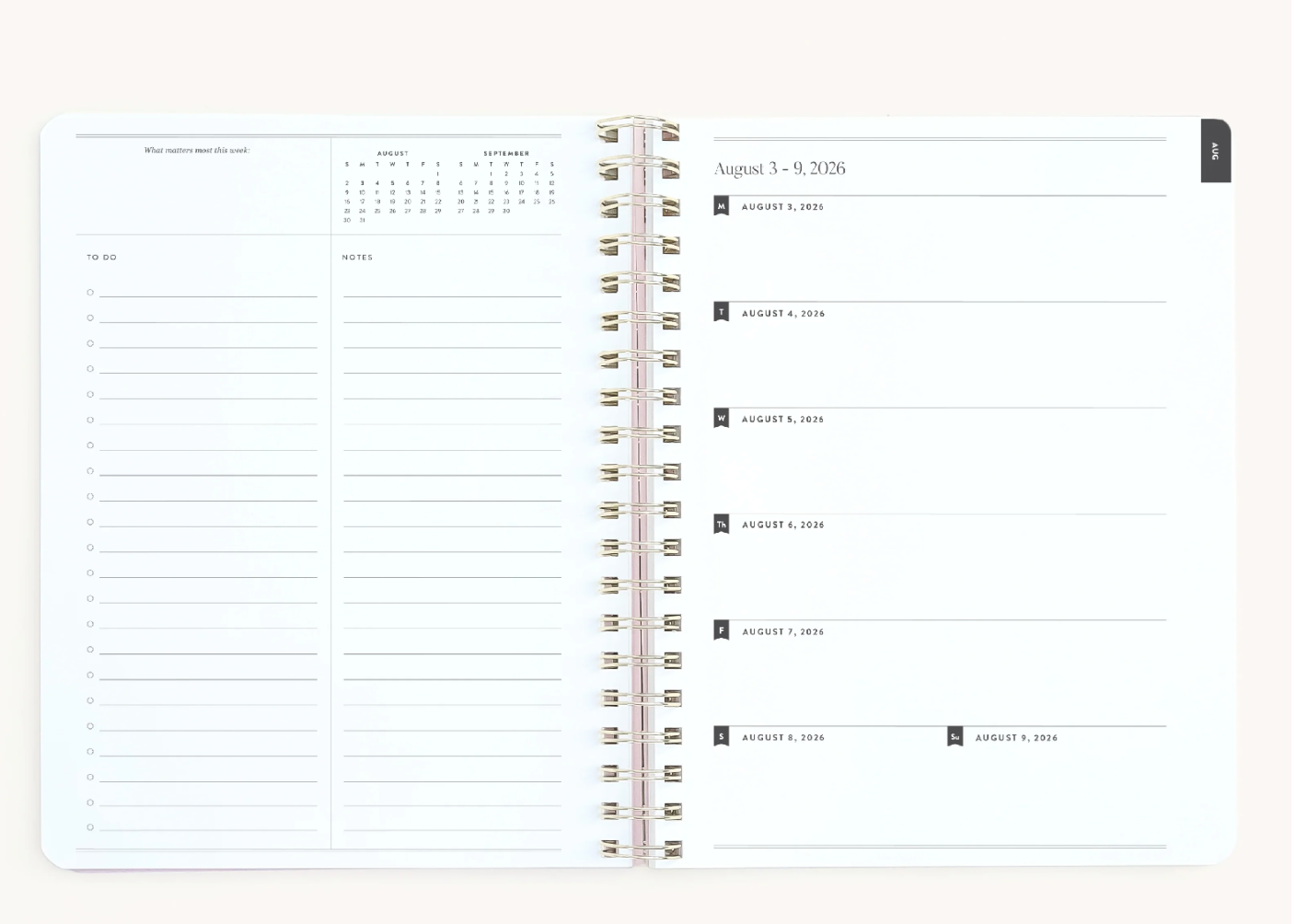 2026-2027 Large Softcover Weekly Simplified Planner - Club Stripe