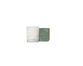 Frasier Fir Tidings Boxed Votive 2oz