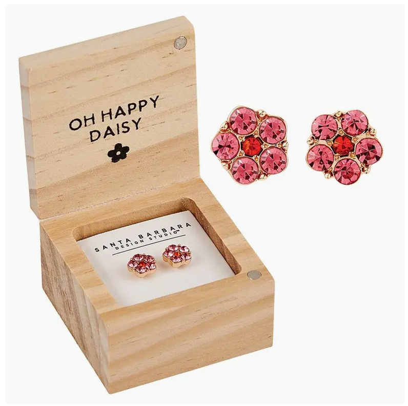 Treasure Box Earrings