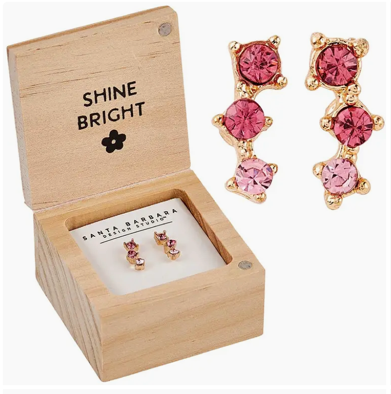 Treasure Box Earrings