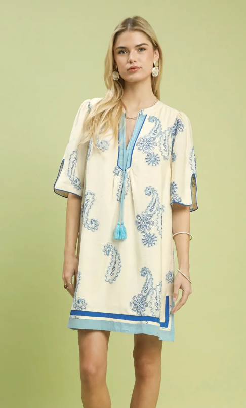 Paisley Embroidered Stripe Hem Shift Dress-Blue
