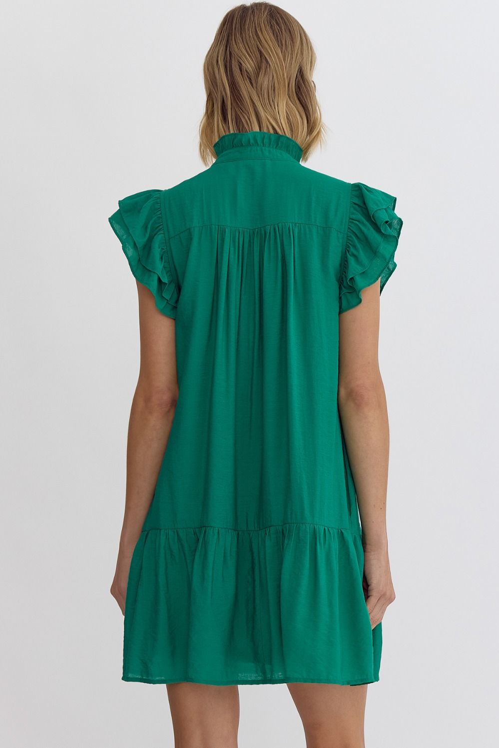 Solid Frill Neck Ruffle Button Placket & Sleeve Dress