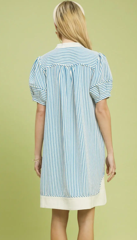Pinstripe Shift Dress w/Contrast V-Neck & Hem