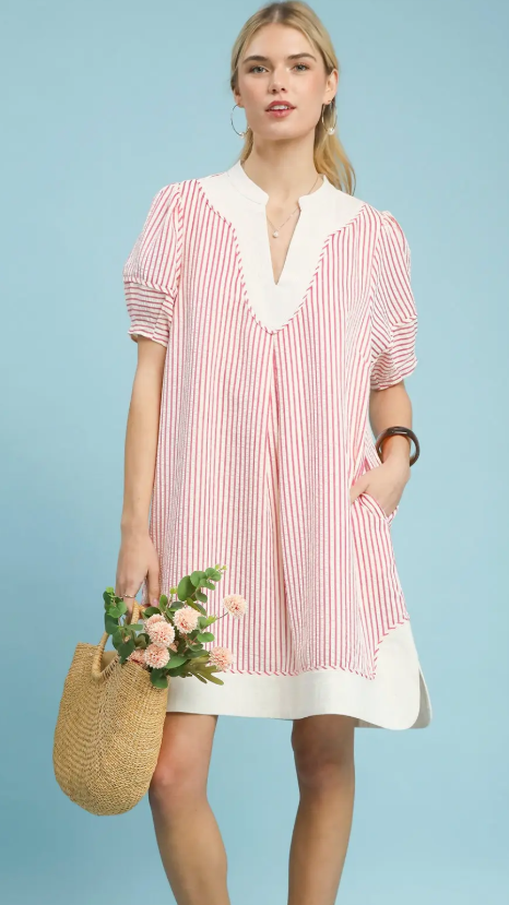 Pinstripe Shift Dress w/Contrast V-Neck & Hem