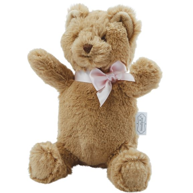 My first Teddy Bear
