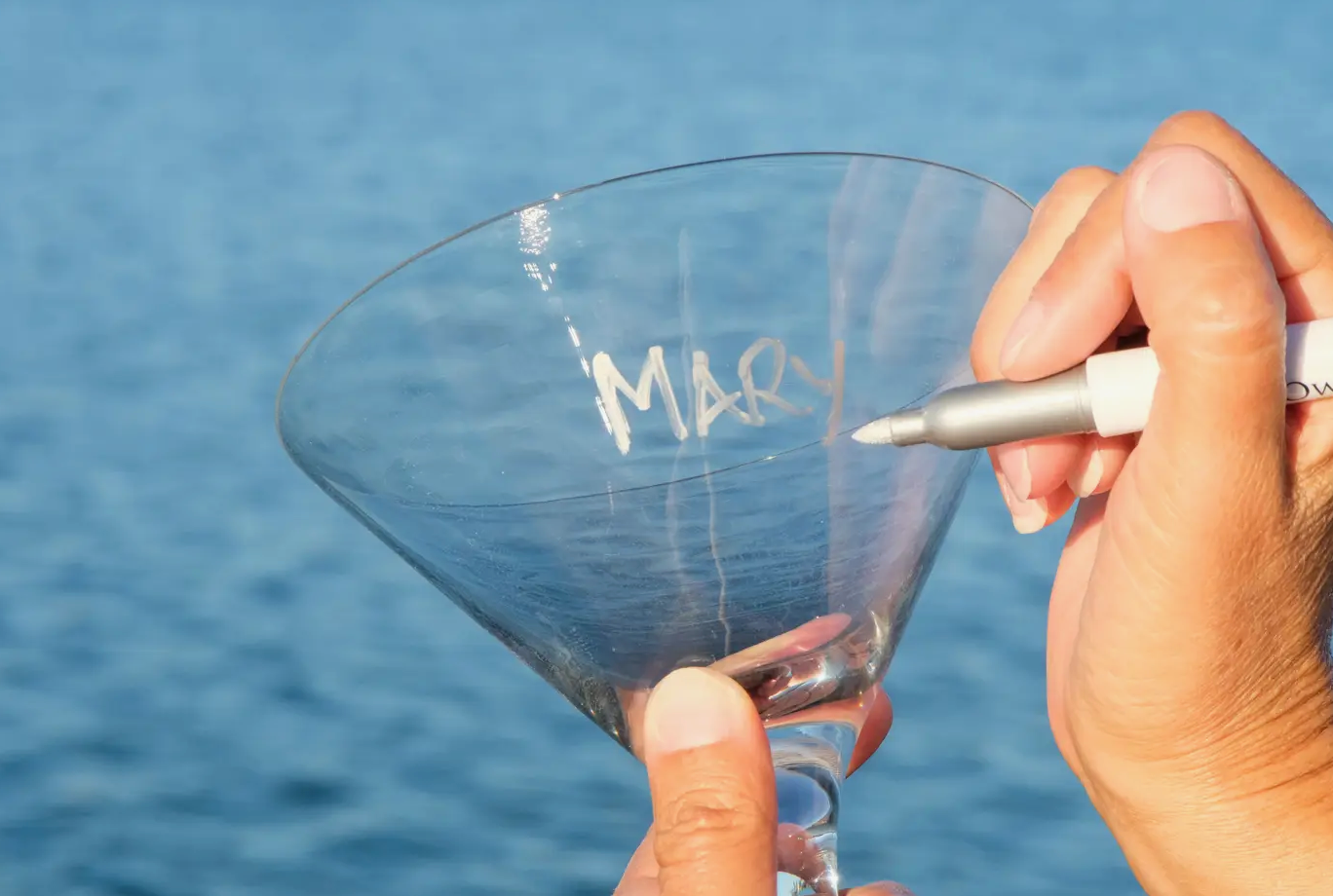 VinOwriter, Wine Glass Identifier