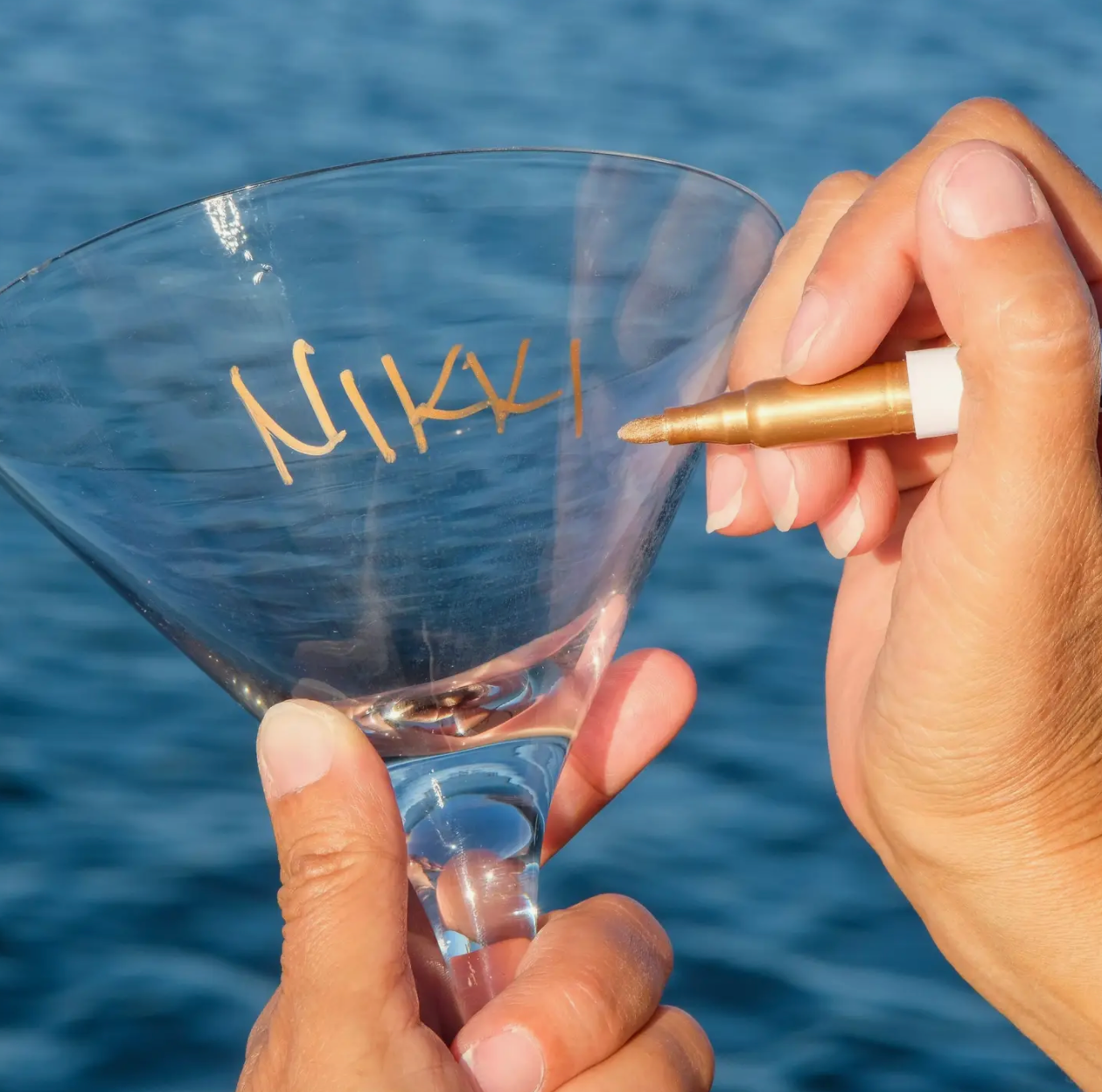 VinOwriter, Wine Glass Identifier