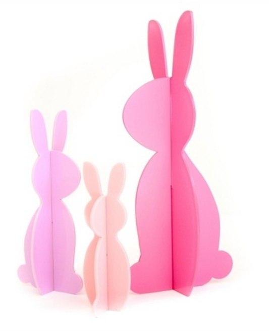 Acrylic Bunny Sets