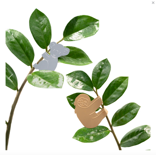 Plant Animals